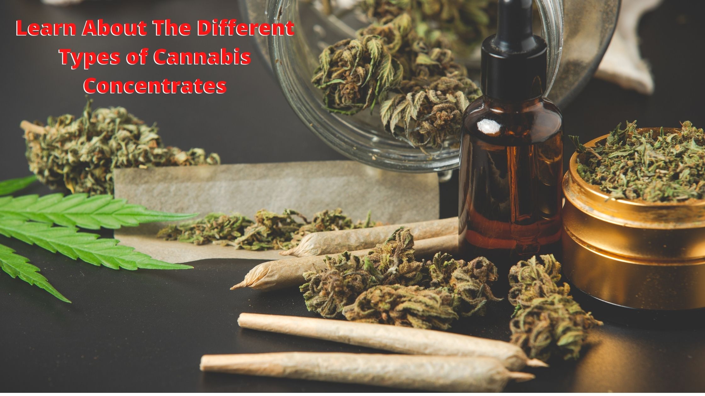 Learn About The Different Types of Cannabis Concentrates