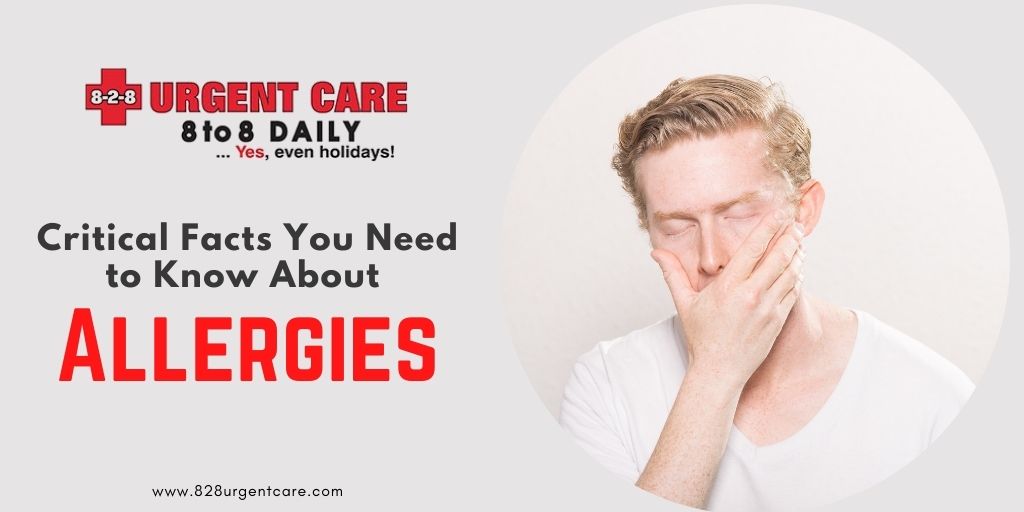 Critical Facts You Need to Know About Allergies
