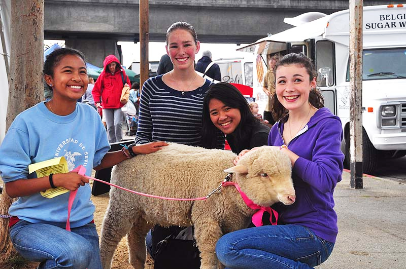 What is Hypoallergenic Bedding?