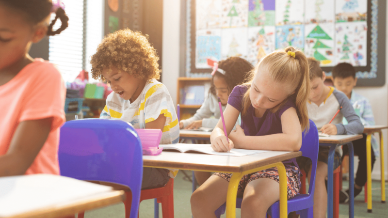 The Importance of Document Management System for Colleges