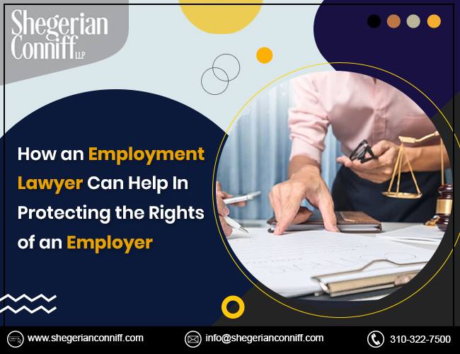 How an Employment Lawyer Can Help In Protecting the Rights of an Employer