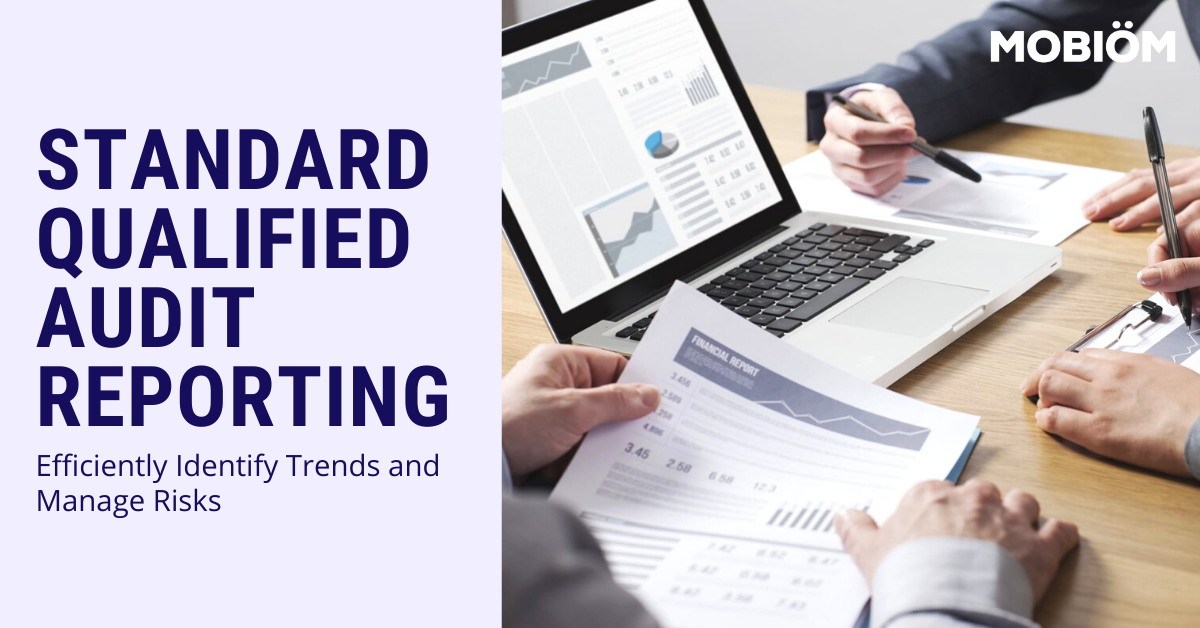 Advanced Audit Reporting - Standard Qualified Audit Report | Mobiom