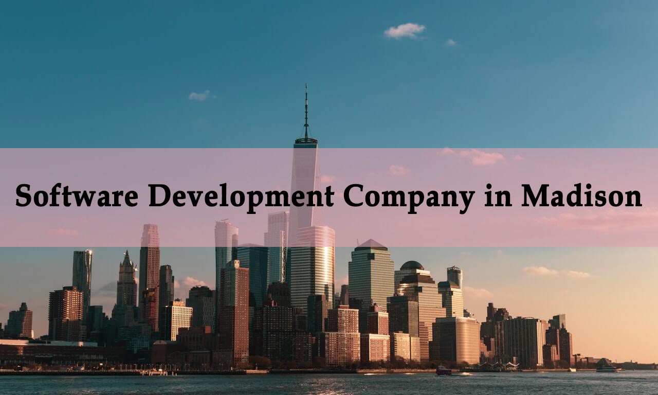 Software Development Company in Madison
