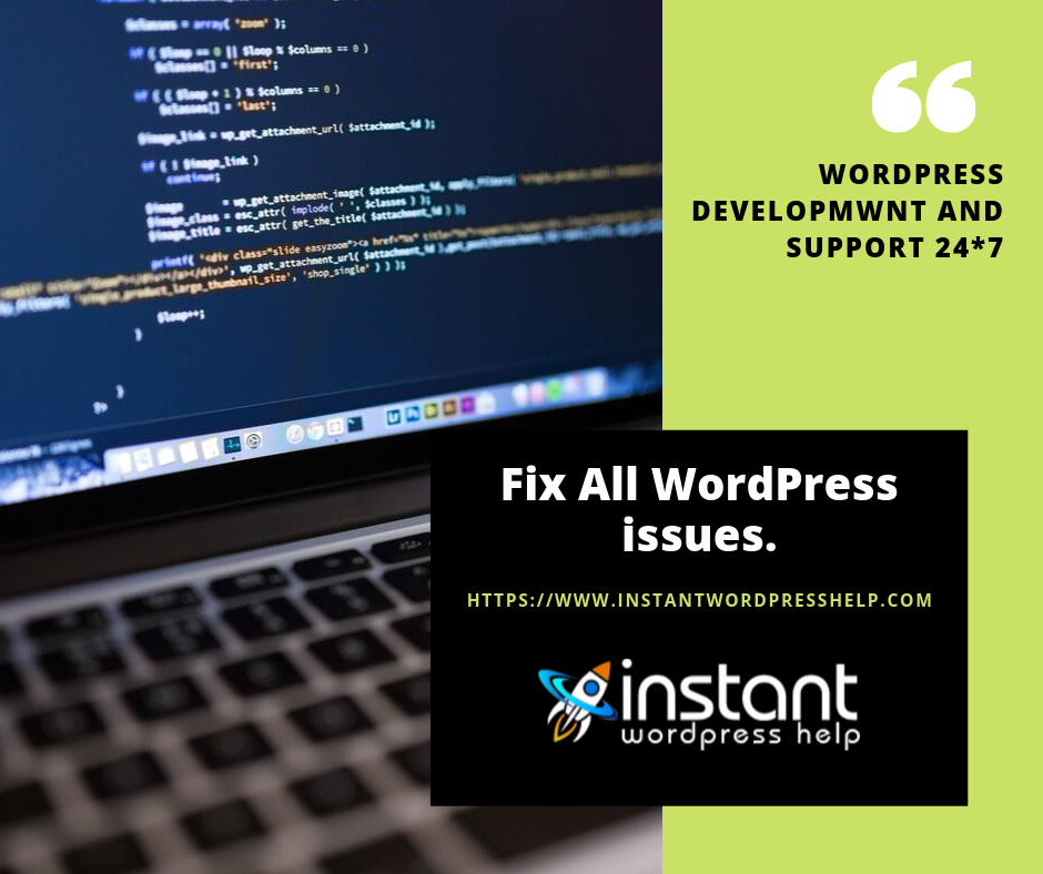 Fix WordPress Issues Only $29