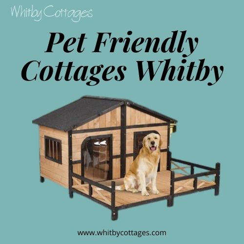 Pet Friendly Cottages Whitby