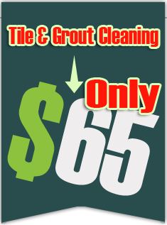 Tile Grout Cleaning Of Houston TX