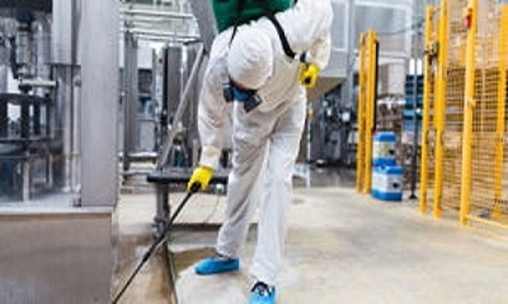 TERMITES CONTROL IN TAMPA