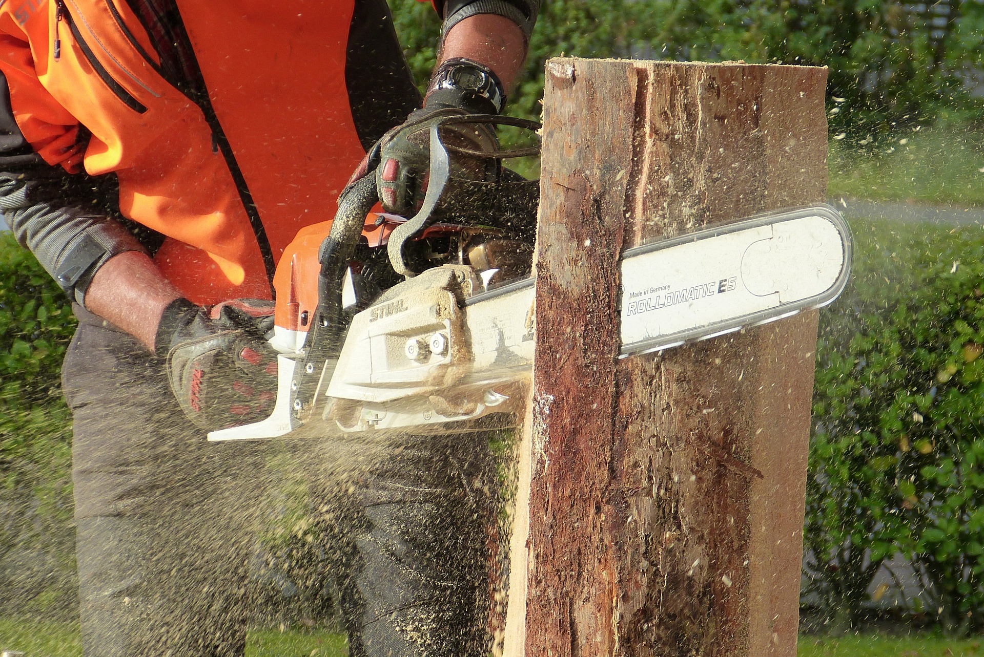 Top Benefits You Can Avail From Tree Stump Removal Services