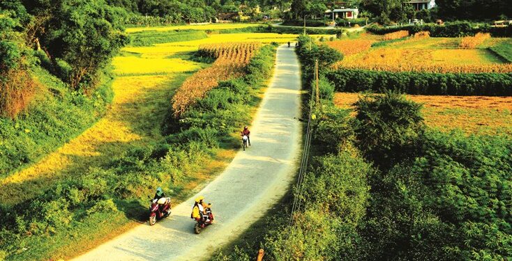Mơ về miền quê có ý nghĩa gì?