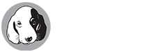 Siberian Husky Puppies for Sale - Central Park Puppies