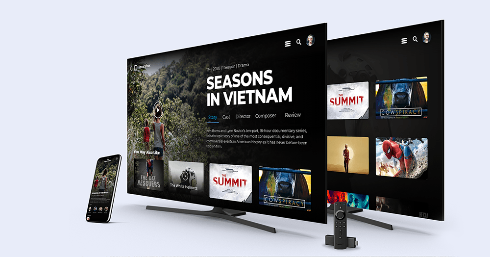 6 Best OTT Platforms to Start OTT Business in 2021