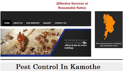 Best Pest Control in Kamothe