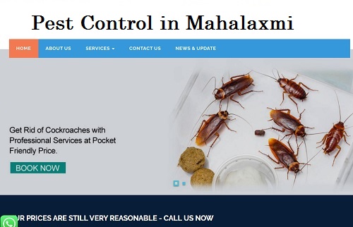 Best Pest Control In Mahalaxmi