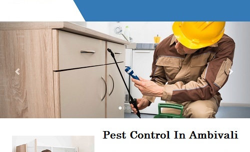 Best Pest Control In Ambivali