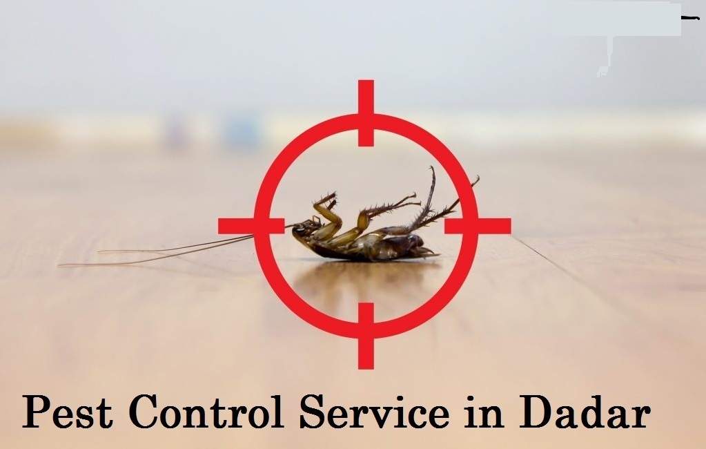 Pest Control Service In Dadar