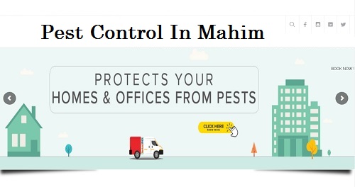 Best Pest Control Service In Mahim