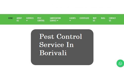 Best Pest Control In Borivali