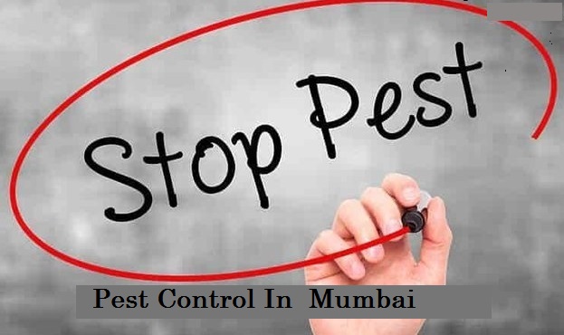 Top 10 Pest Control In Mumbai