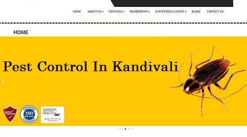 Top Pest Control Service In Kandivali