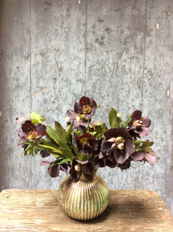 Toronto Fresh Flower Delivery