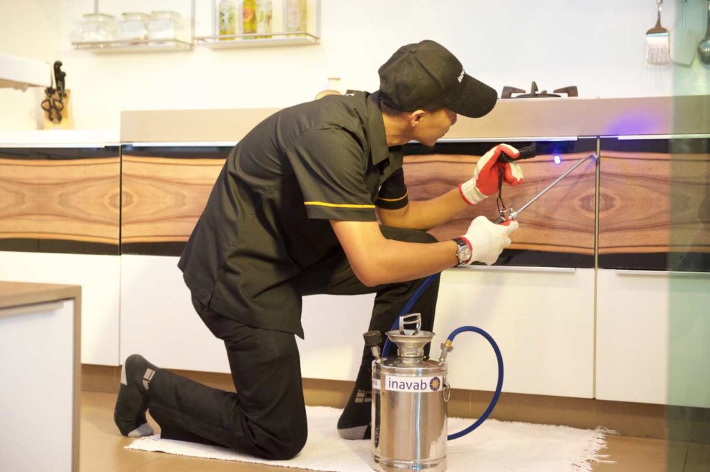 General Pest Control in San Antonio
