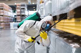 TERMITE TREATMENT IN BUFFALO