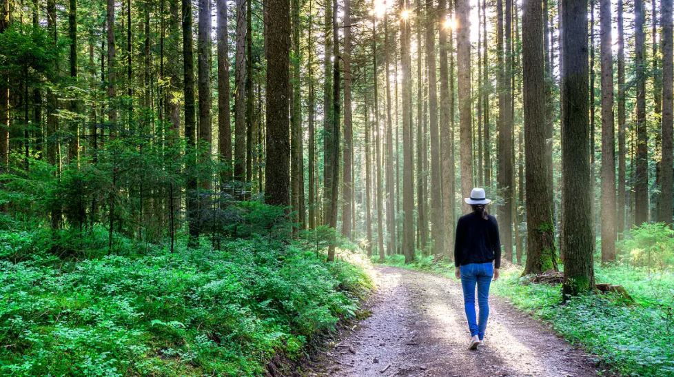 6 Essential Things That You Should Do for Creating a Personal Breakthrough