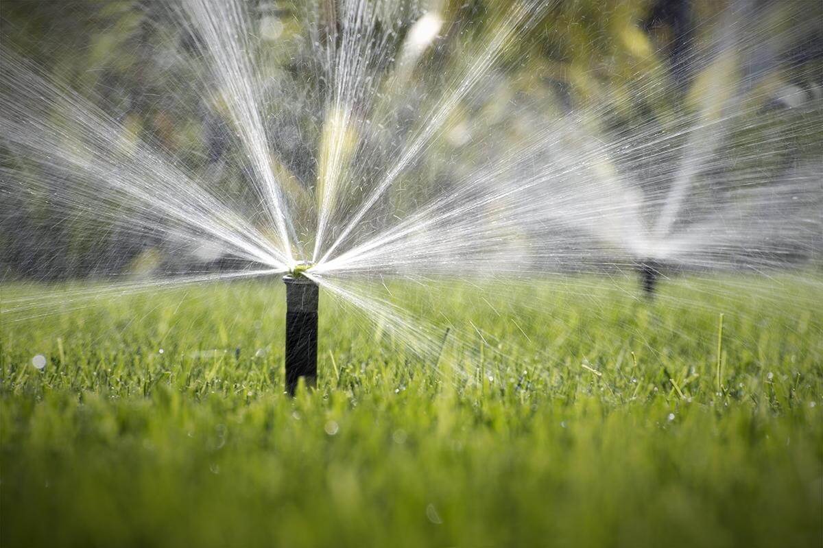 Spring Landscape Maintenance in Miami by The Billy Goat Lawn Care
