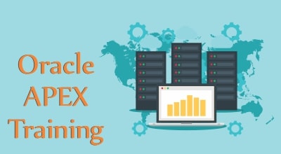 Oracle APEX Training