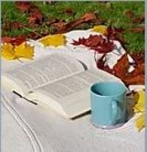 Buy Accelerant Series Book on Ebay