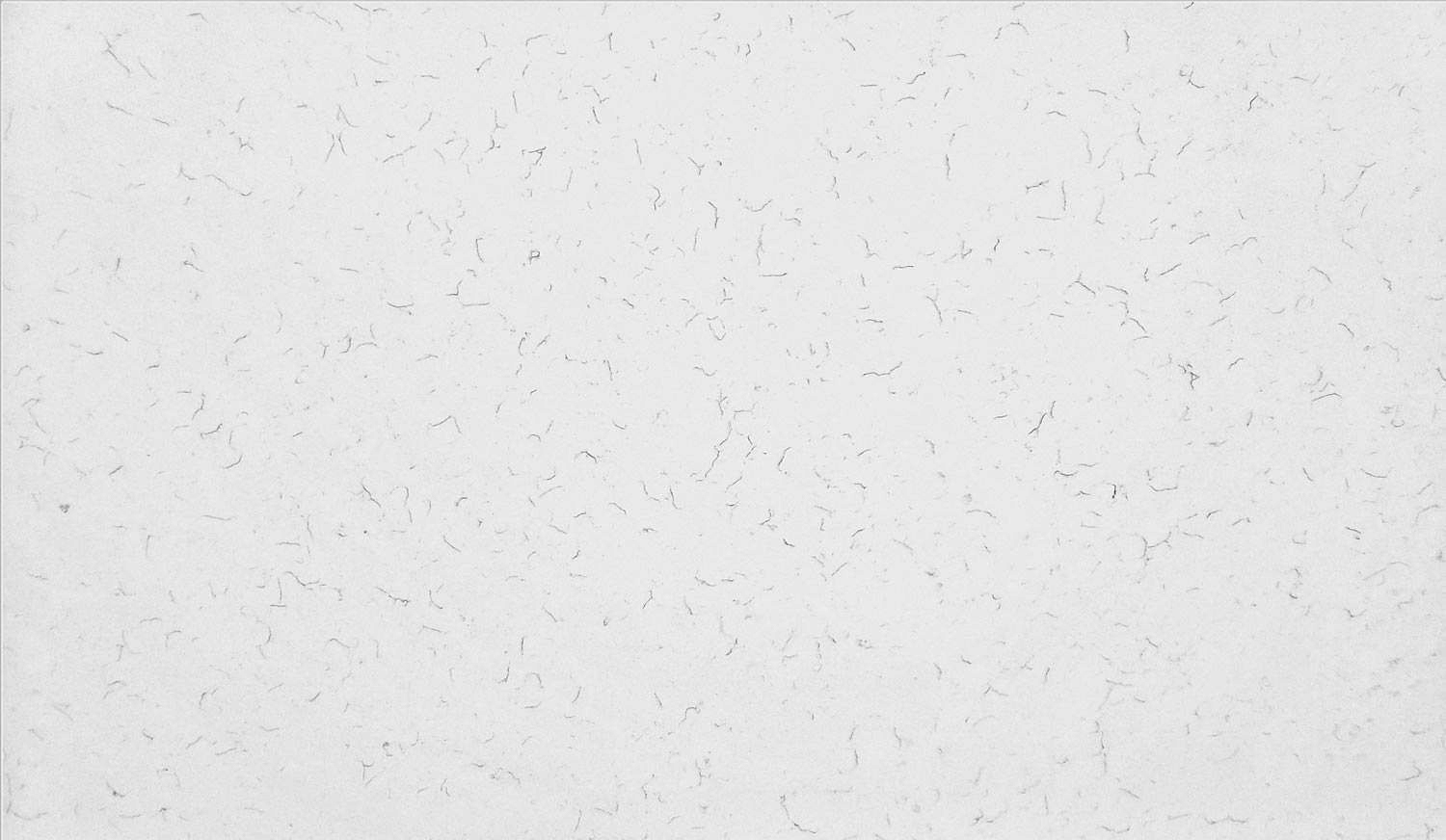Carrara Quartz  Stone  - Design Stone
