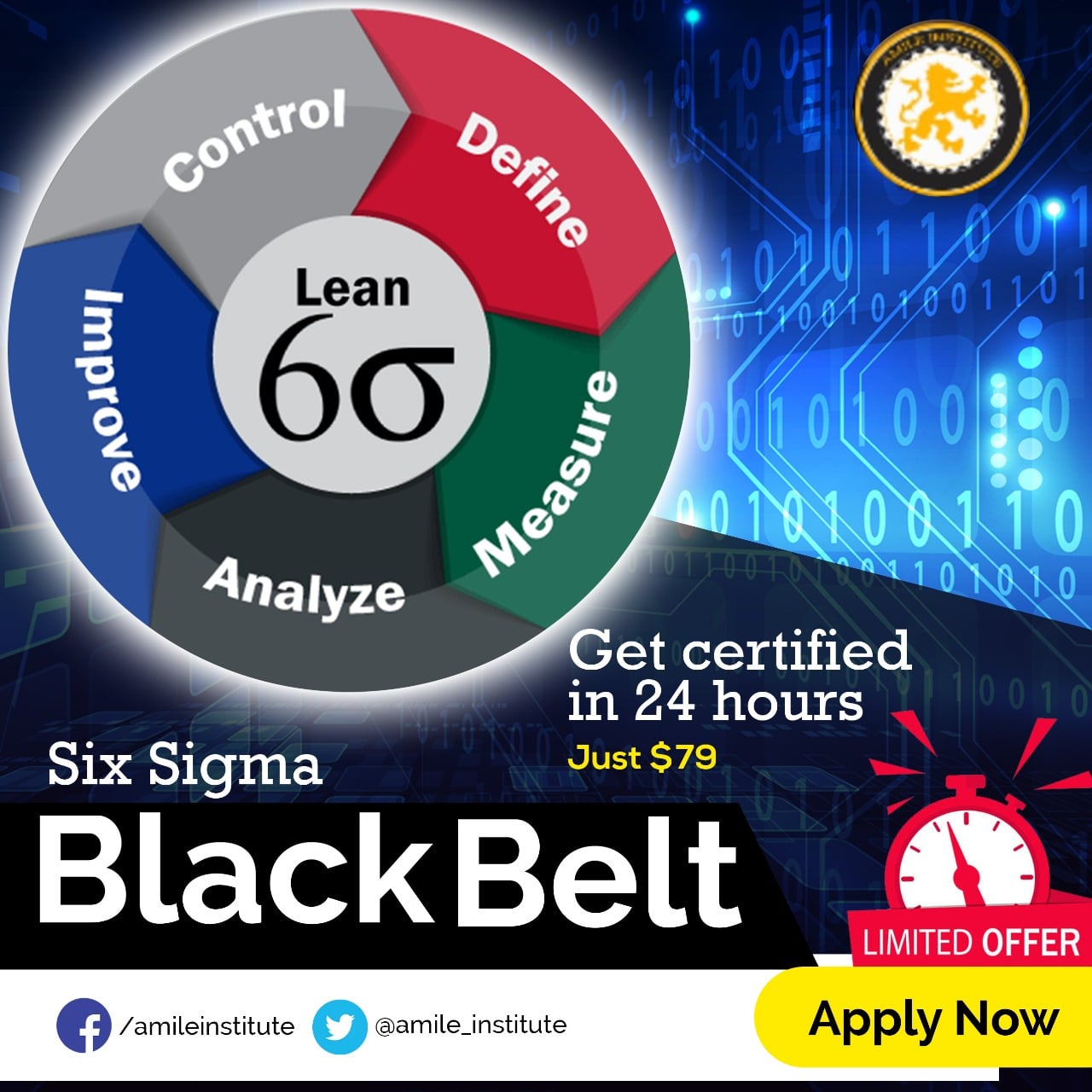 Why is achieving Black belt in Six Sigma is Significant?
