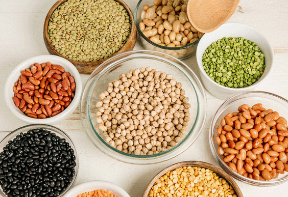 Pulses Ingredients Market Research: Industry Trends, Analysis, Types, Growth, Opportunity and Forecast 2023-2032.
