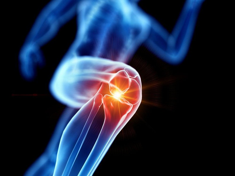 Orthobiologics Market Trend and Business Demand – Lead by XTANT MEDICAL, Arthrex, Inc., SeaSpine, NuVasive, Inc, Bioventus., Kuros Biosciences, K2M, Inc., RTI Surgical Holdings, Inc., Orthofix Holdings, Inc.