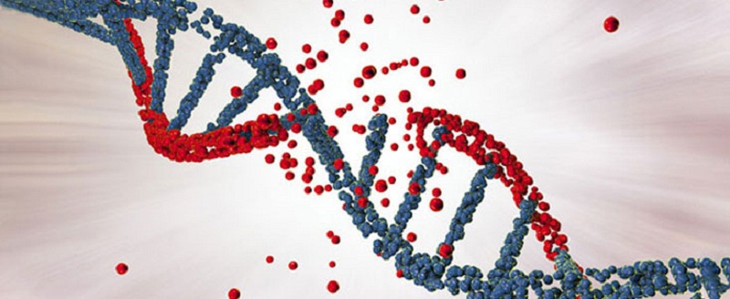 Genetic Disorders Industry : Trends, Size, Share, Demand, Analysis, Industry Growth, Outlook and Competitive Landscape by Key Players :Vertex Pharmaceuticals Incorporated; F. Hoffmann-La Roche Ltd; Abbott; Amgen Inc.; ELITechGroup; GW Pharmaceuticals plc