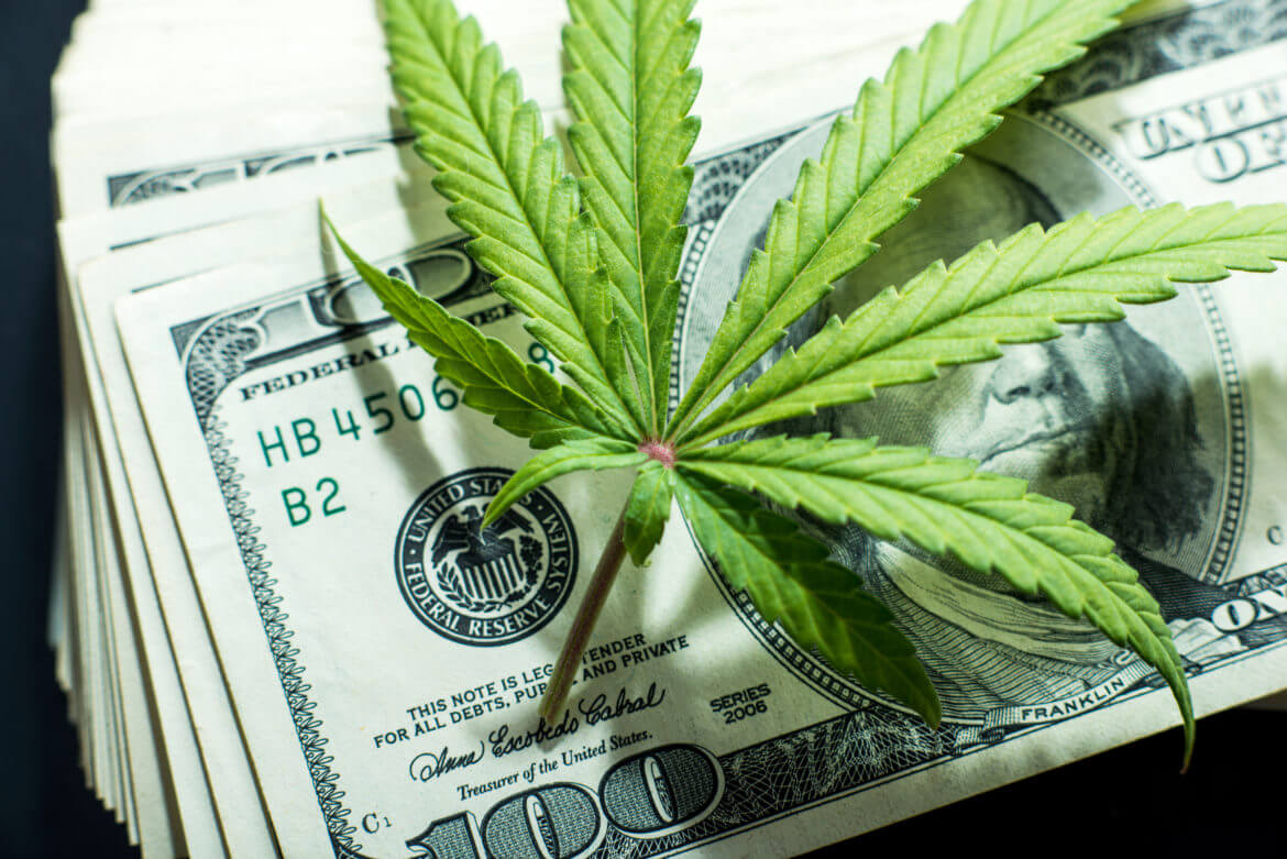 Best Cannabis Bookkeeper