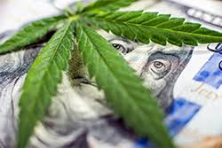 Bookkeeping In Cannabis Industry