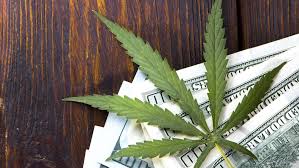 Best Cannabis Bookkeeping in the USA