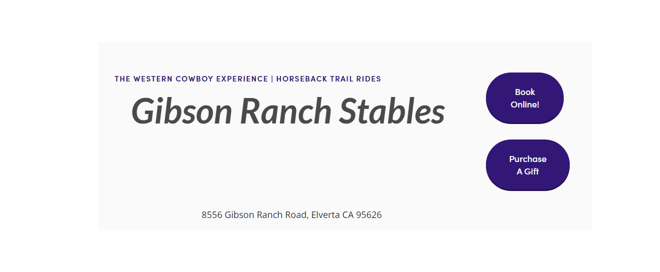 Horse Riding Lessons Sacramento CA