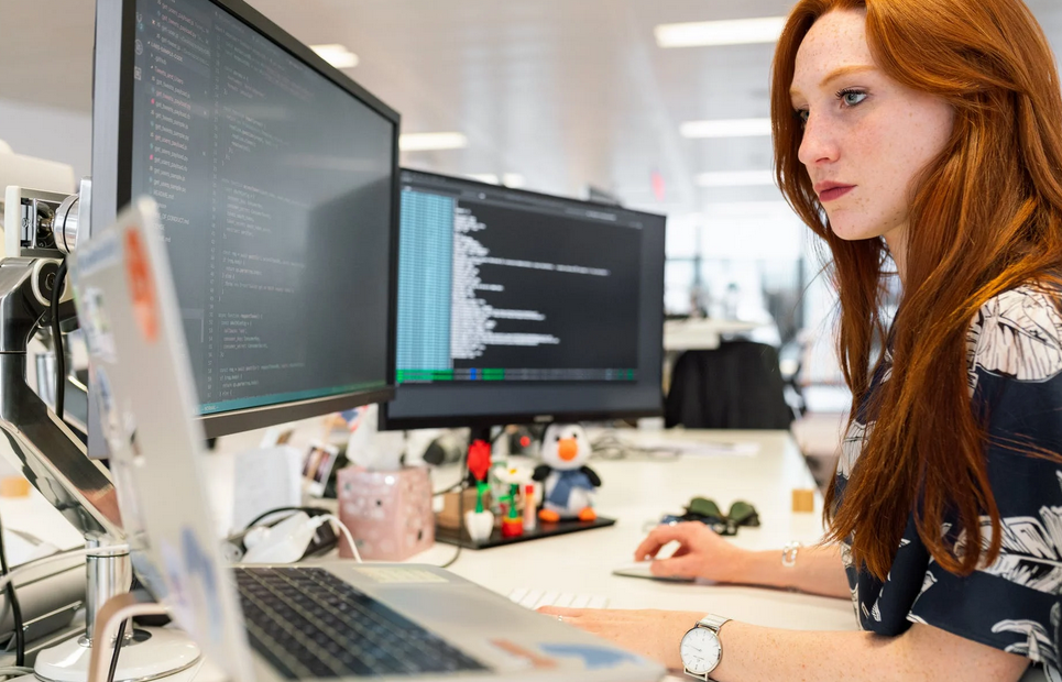 Custom B2B B2C Web Portal Development Services