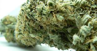 3 ways to relieve insomnia using CBD