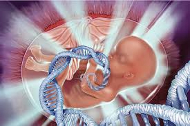 Prenatal Genetic Testing Market Research Report CAGR Growth of 29.2% and Predictive Business Strategy by 2026 | Potential Players Are Agilent Technologies Inc. (US), Illumina, Inc (US)