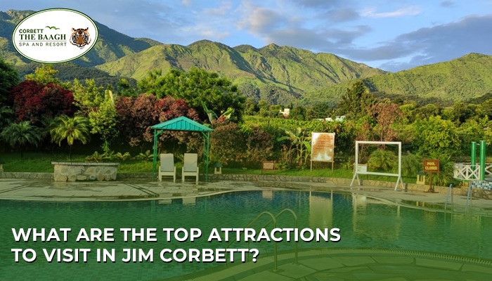 What are the Top Attractions to Visit in Jim Corbett?