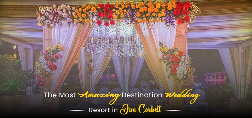 The Most Amazing Destination Wedding Resort In Jim Corbett