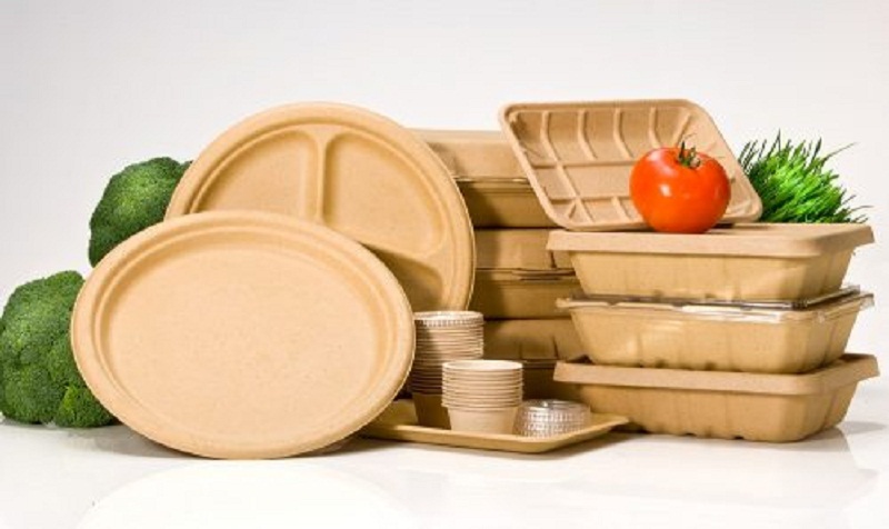 Biodegradable Paper and Plastic Packaging Market by Type (Plastic and Paper), Material (Plastic and Paper), End-User (Packaging, Food and Beverage, Catering Servicewares, Personal and Home Care, Healthcare and Others), Country