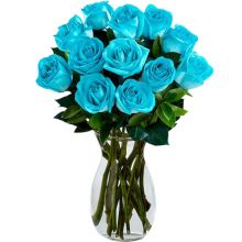 Top Spring Blossoms That Can You Find At Online Flower Shop In Dhaka Bangladesh