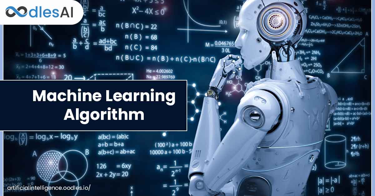 Basics of Machine Learning Algorithms
