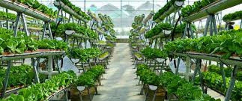 Indoor Farming Technology Market is Growing by 2027 | Biggest Innovation General Hydroponics, Certhon, Dalsem, Richel Group, American Hydroponics, Harnois Greenhouses, Richel Group, Urban Crop Solutions