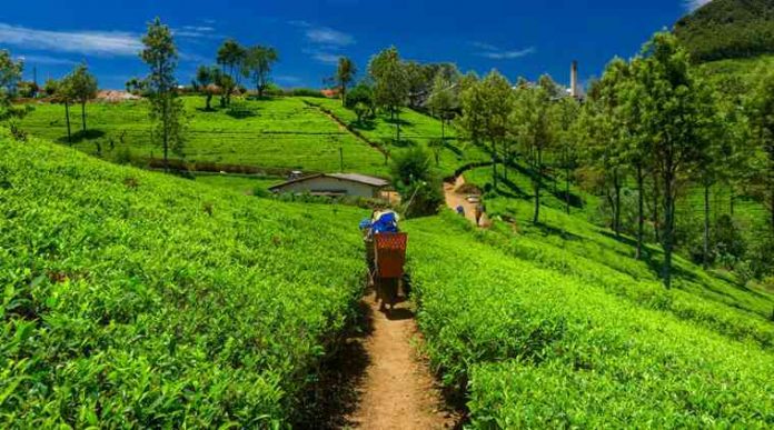 Places To Visit Assam