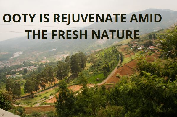 OOTY IS REJUVENATE AMID THE FRESH NATURE